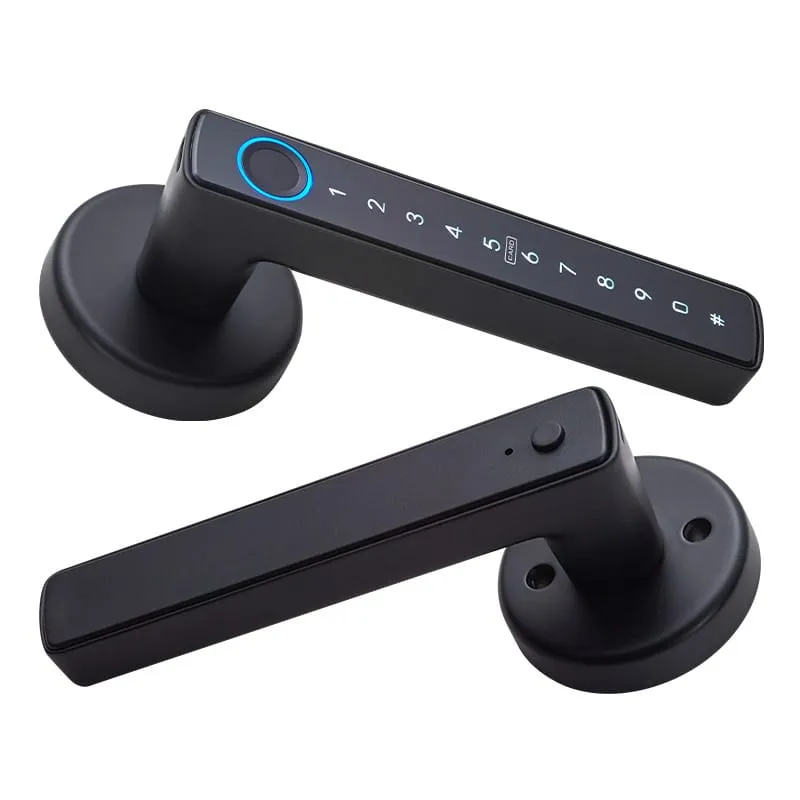 WF-F6 fingerprint handle lock